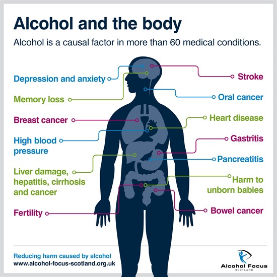 Alcohol and the body
